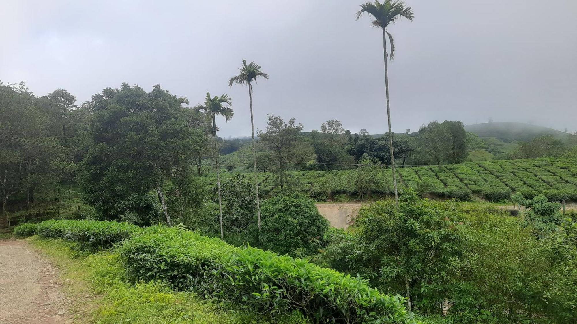 Paradise Meadows Vagamon Exterior photo